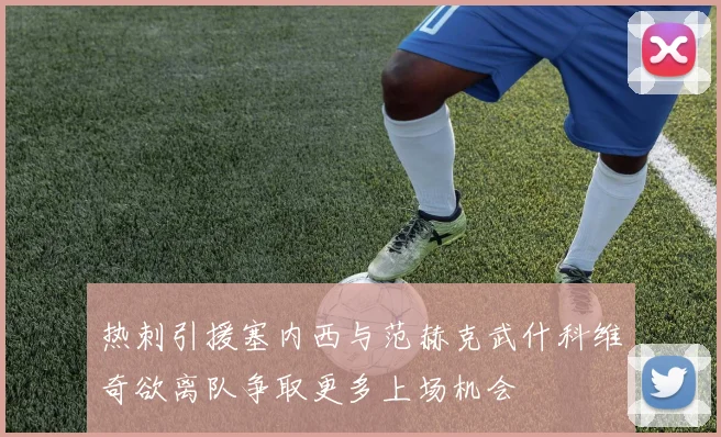 热刺引援塞内西与范赫克武什科维奇欲离队争取更多上场机会